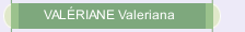 VAL&Eacute;RIANE Valeriana